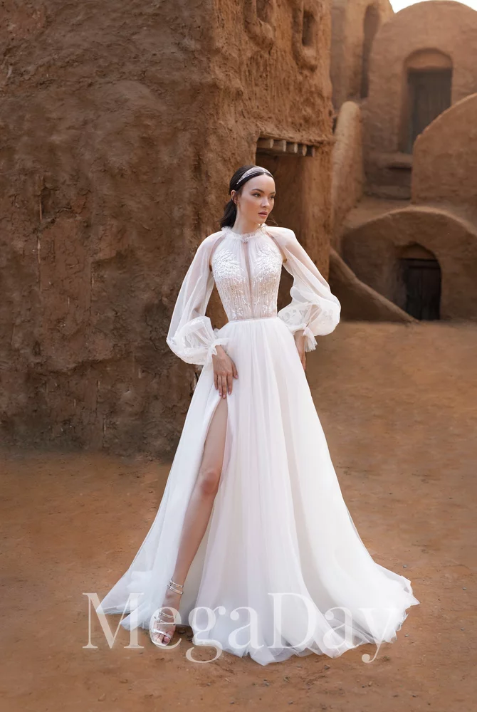 Salmonia(1) 