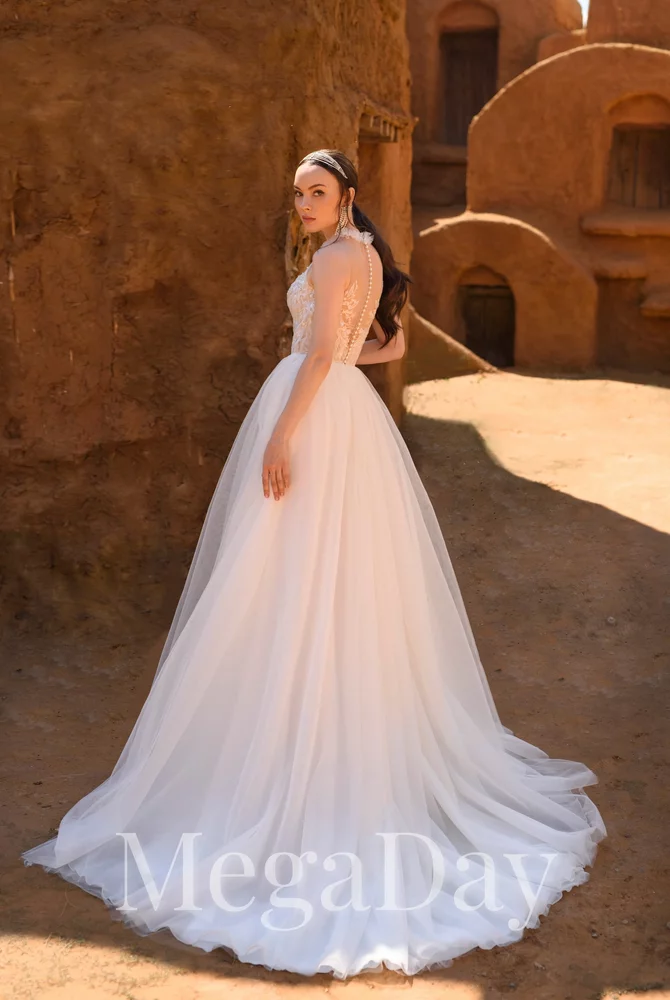 Salmonia(3) 