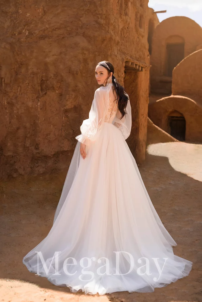 Salmonia(4) 