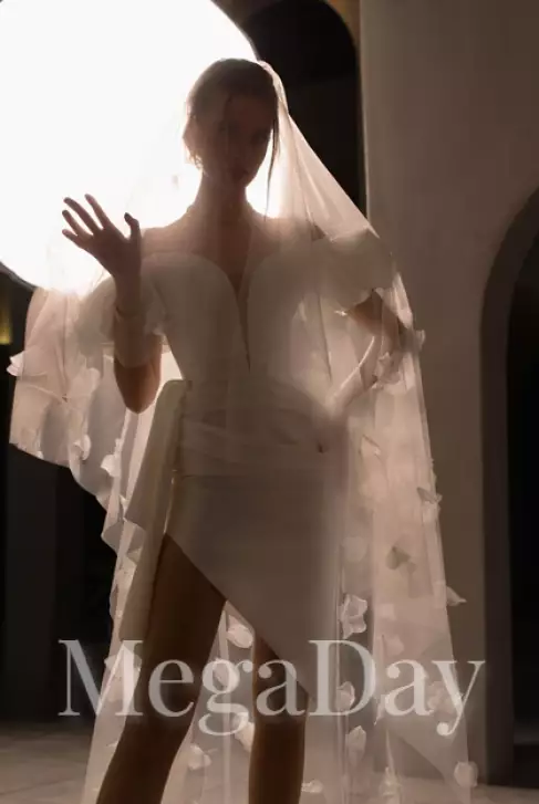 Veil_3D(1) 
