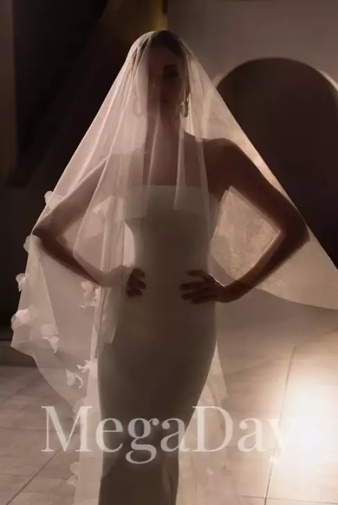 Veil_3D(3) 