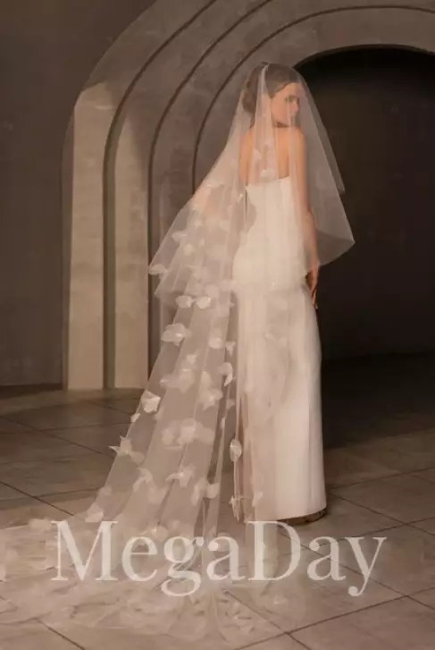 Veil_3D(5) 